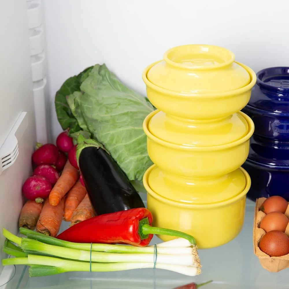 Hokanbowl-Lemon-Yellow-fridge
